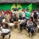 수문마을회관 이미지