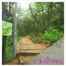 방배우성아파트 109동 앞 횡단보도 | 서울둘레길 우면산구간