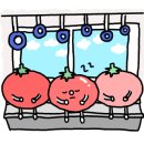 릴리안플라워 이미지