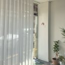 베르데베르 이미지