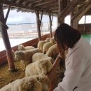 백촌목장 이미지