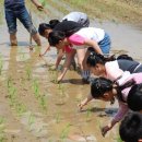 남선초등학교 남창분교 이미지
