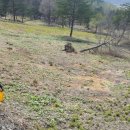 점말농장 이미지