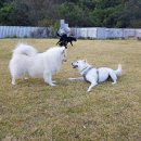 홍천힐링하우스 이미지