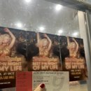 비비렉사] Best Fn Night of My Life Tour 비비렉사 첫 내한공연 후기! @ YES24 Live Hall 23.10.27.금