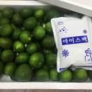 지정농장 이미지