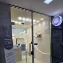 복슬강아지 | 왕십리애견미용 추천 도그올로지 비숑 미용후기