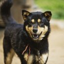 금골농장 이미지