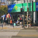 11월 셋째 주 일기