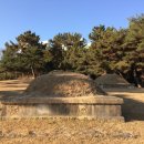 진주 정신중 묘역 이미지