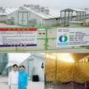 홍림농장 이미지