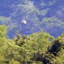 대왕암공원3(주차장) 이미지