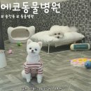 아띠앤펫 이미지