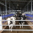 상하덕촌목장 이미지