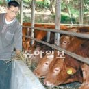 월송농장 이미지