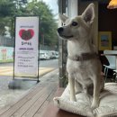 YUMMYOLOGY 이미지