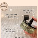 숲속으로 | [내돈내산]화장실이 숲속으로? 탬버린즈 룸 스프레이 'PINE NEST' 솜솜로그의 솔직 후기🌲