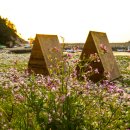 상서돌담마을 이미지