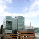 대한노인회 성북지회 이미지