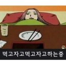 오리는꿀꿀