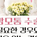 맘외과의원 이미지