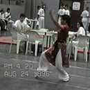 채막권-Shaolin South 중국무술 남권 투로 공부 채막권 Fei Hok Phai Rosa Hiro Okuno 이미지