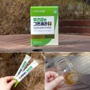 웰빙그린 | 그린세라F 효능 알고 챙겨본 후기