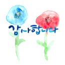 플로리스트(야) 이미지