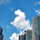 부농까까 | 2025.08.30 토요일