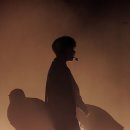 마저