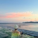 (주)부산롯데호텔 PEARL ROOM | 부산 호캉스 추천 시그니엘부산 미포하버뷰 수영장 망고빙수까지 접수
