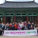 경상북도지체장애인협회 경주시지회 이미지