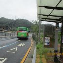 구룡달전로 이미지