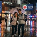 재난재해제로119 | 지진·태풍 경보에도 안전했던 일본 여행, 실시간 현지 분위기와 대처 꿀팁