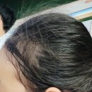 야구장 야외화장실 이미지