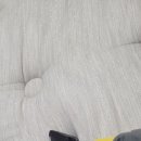 새솔세탁 이미지