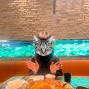 중국동포의집 | 항저우여행 맛집 항주주가, 동파육 원조 거지닭 추천(고덕지도 위치 웨이팅 후기)