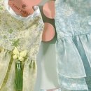 부산 강아지분양 디테일퍼피 이미지