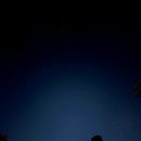 [별밤] 우리는 에코 패밀리 | 11월 호주 뉴질랜드 신혼여행 DAY 2. 페더데일 동물원, 블루마운틴 선셋, 별밤 투어 내돈내산 후기