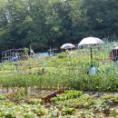 서울양천재향경우회 산악회 번개산행 (지양산-매봉산-신정산) 초대(2026.07.04.토) 이미지
