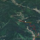 치악산둘레길 9코스 자작나무길 이미지