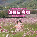 조야초등학교 | 대구 가을 가볼만한곳 하중도 코스모스 축제 2025 정원박람회