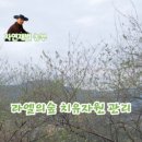 더드림팜