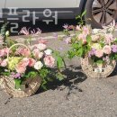 코코리코플라워