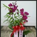 구암동080 이미지