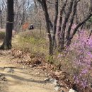 우면산3-23 이미지