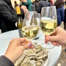 본프랑스 | 프랑스 부르고뉴 본 여행 오스피스 드 본 와인 축제 후기