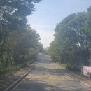 여주-0849 티스토리