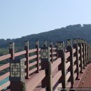 호텔 선샤인 뷔페 | 제주 함덕해수욕장 선샤인호텔 숙박 솔직 후기