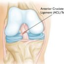 태선생 운동건강연구원(저스트바디짐) 이미지